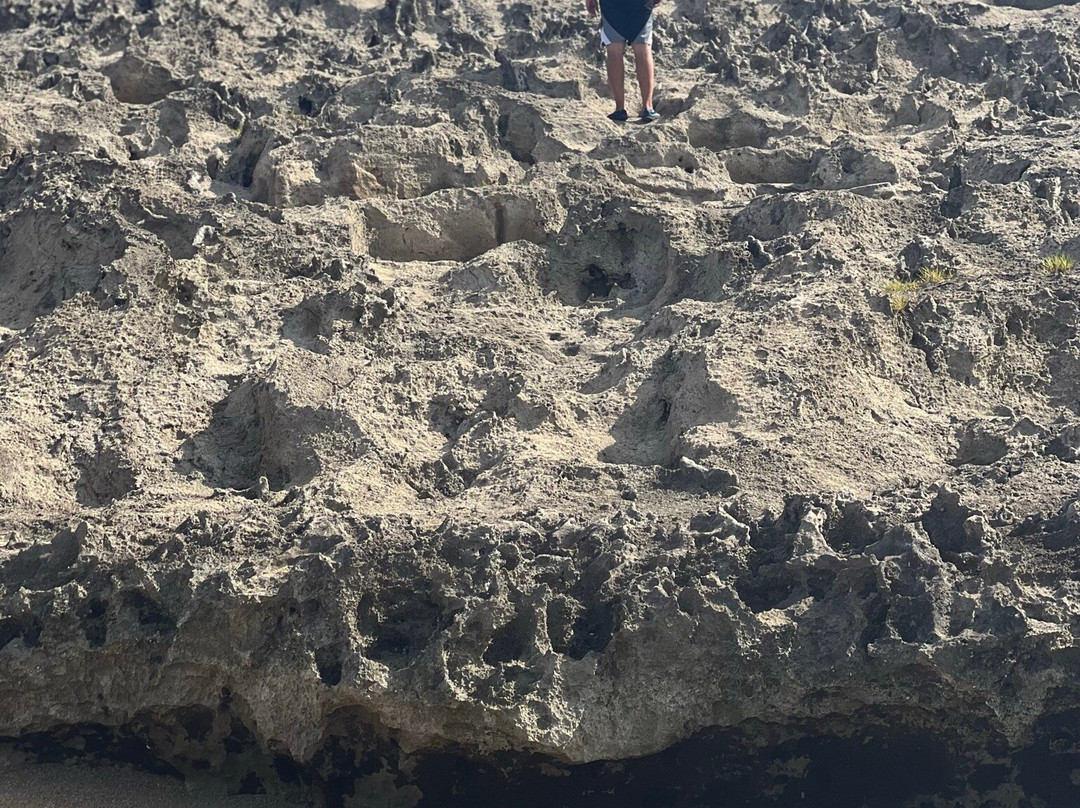 马尔豪帕拉多别墅主图