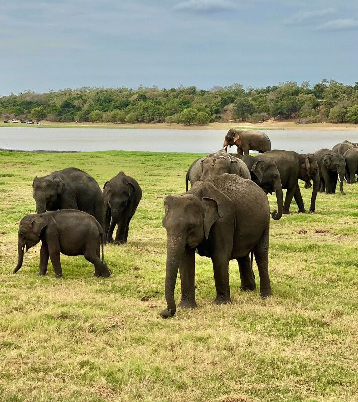 Sri Lanka Tours Taxi-Rambukkana必去景点