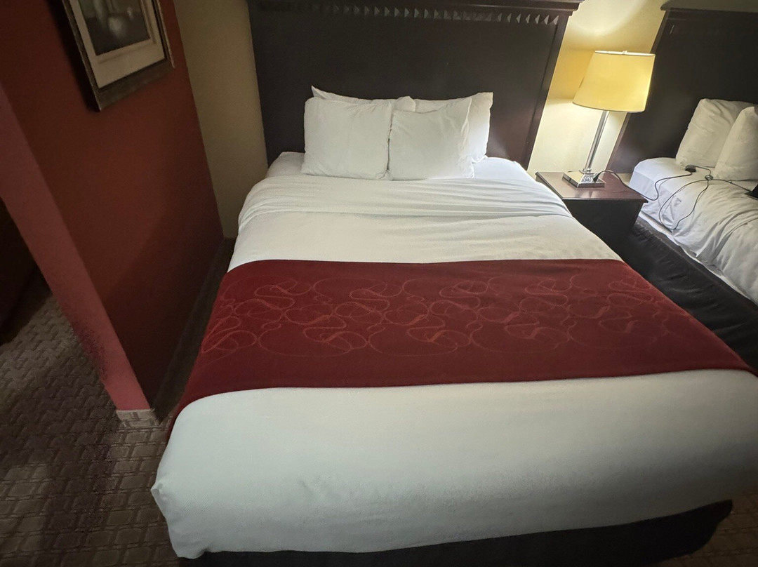 Comfort Suites Bloomington I-55 And I-74主图