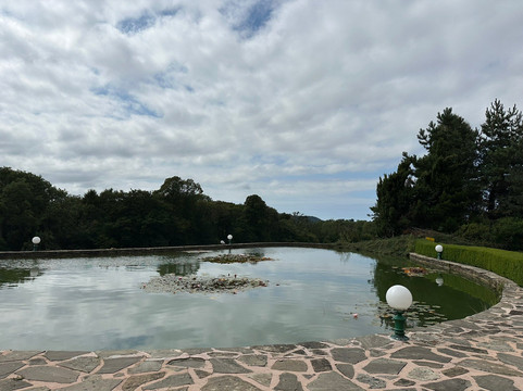 Salt + Earth Bistro & Bar