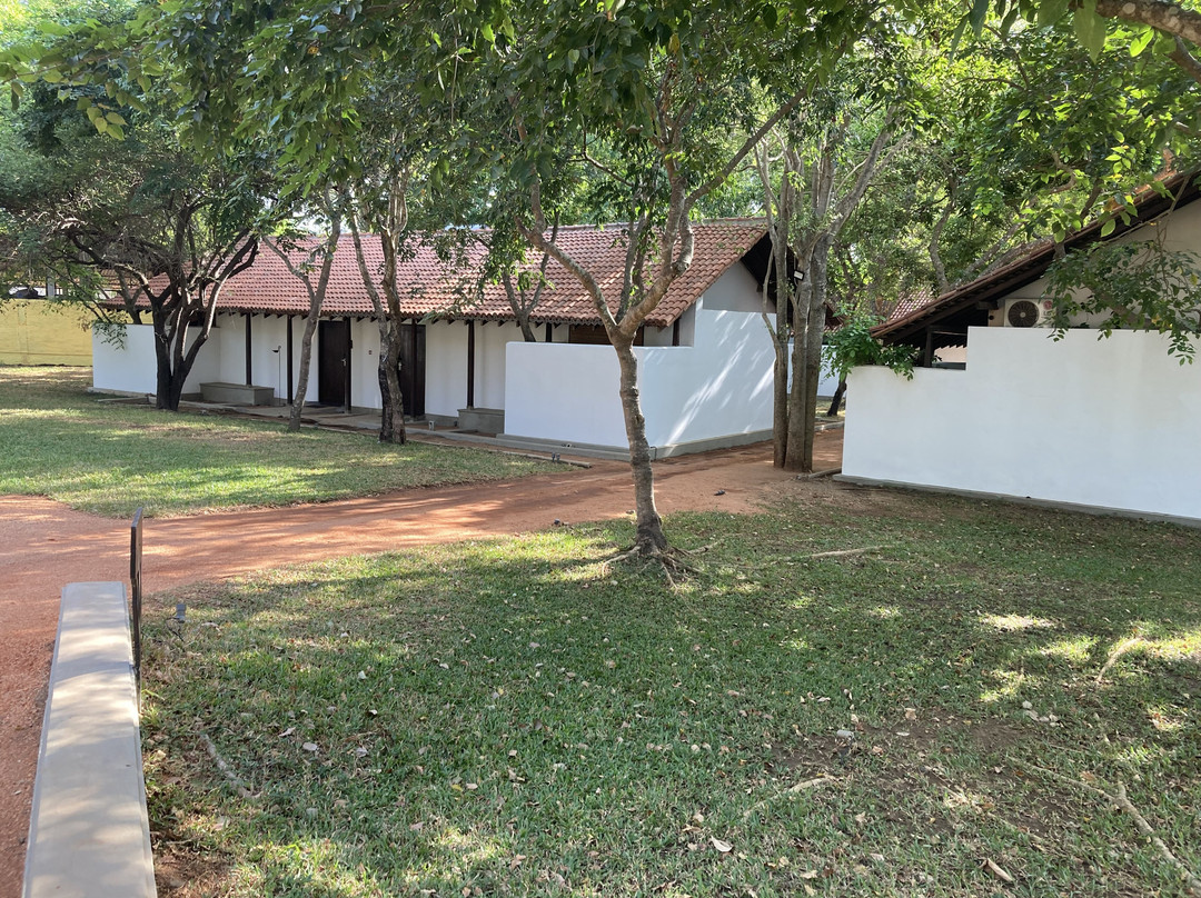 Sigiriya Jungles主图