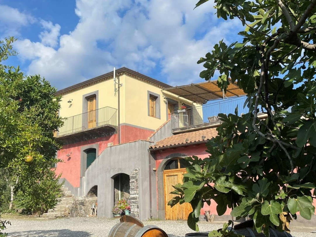 Tenuta Madonnina