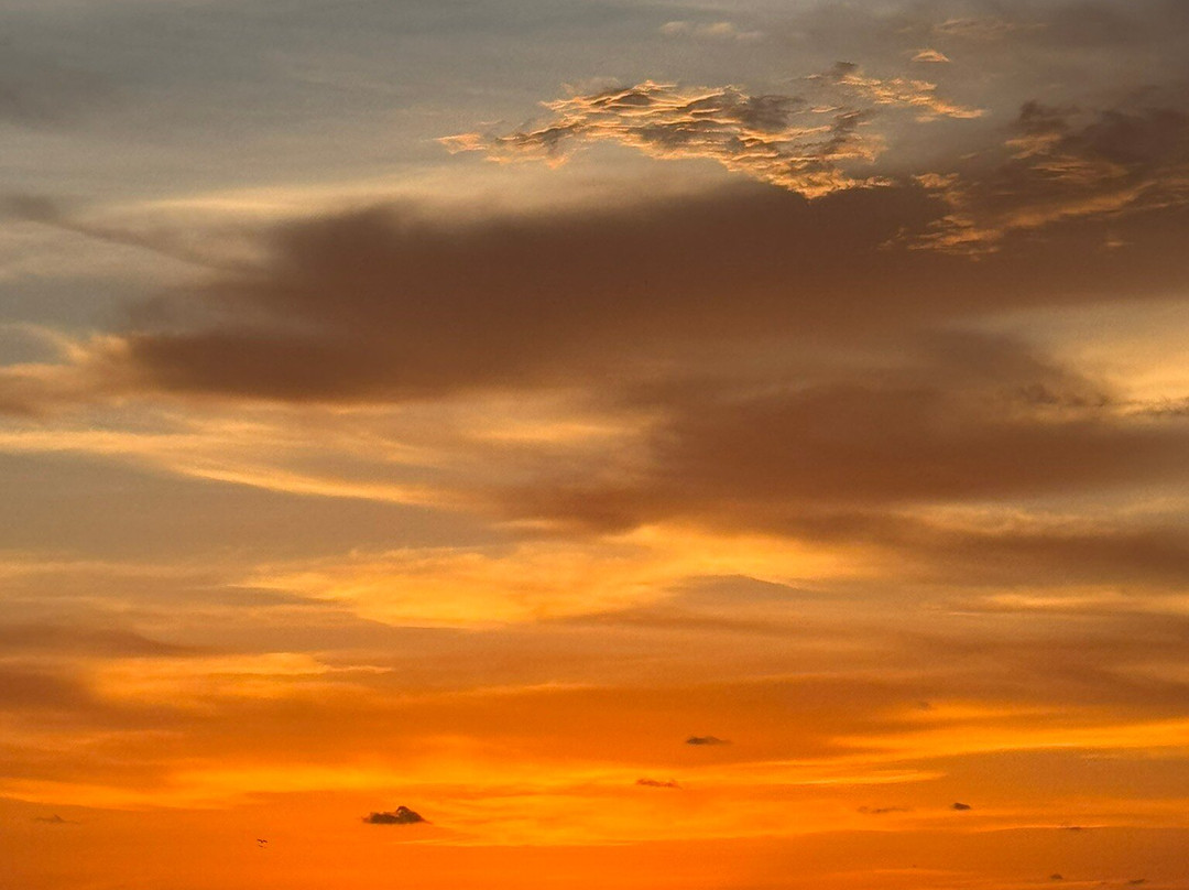 Gasparilla Boat Tours-恩格尔伍德必去景点