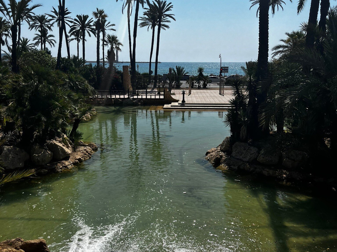 Parque El Palmeral-阿利坎特省必去景点