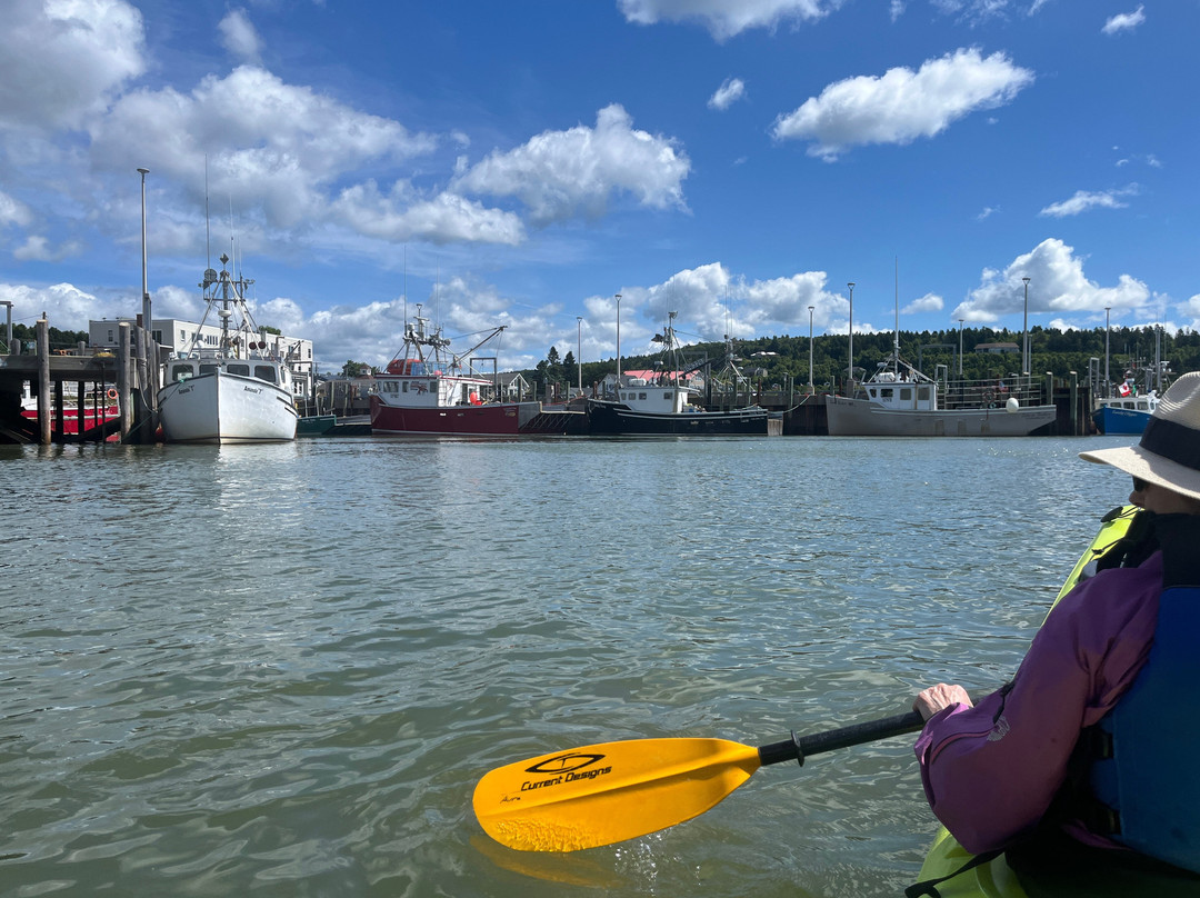 Kayak Fundy - FreshAir Adventure-阿尔马必去景点