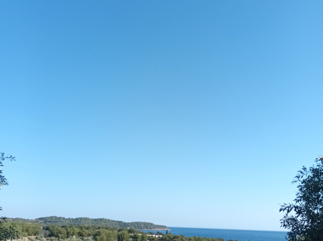 Moonbeam Hotel主图