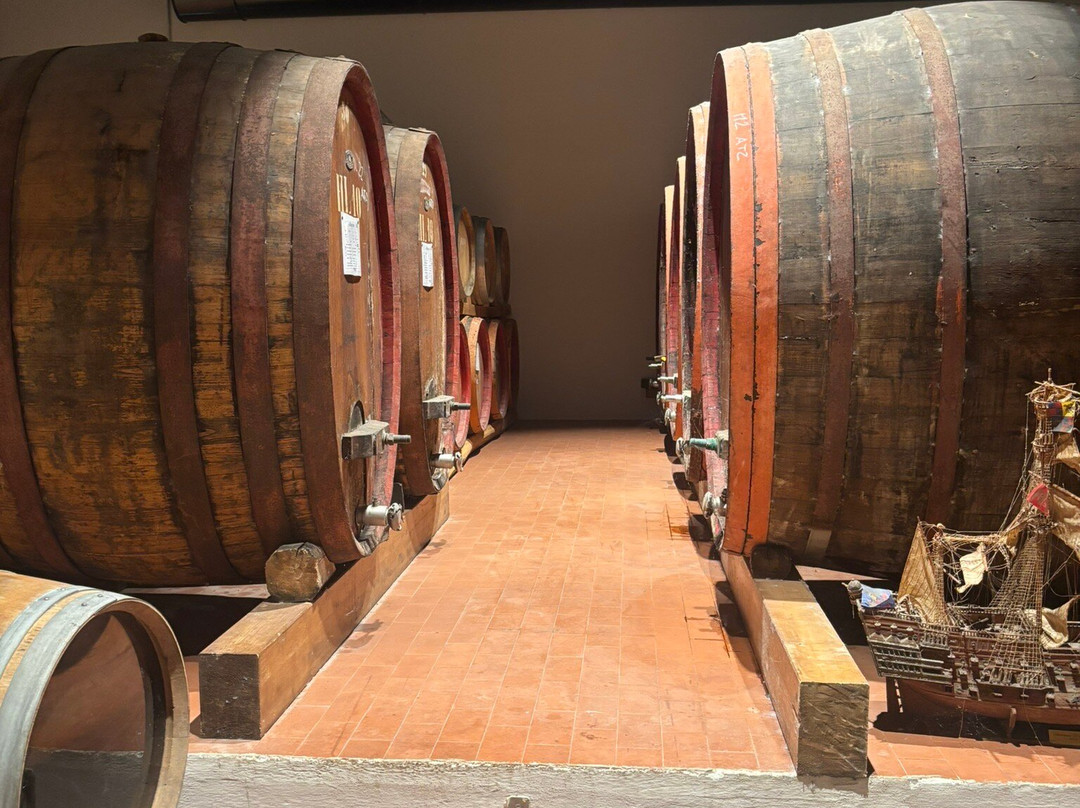 Azienda Vinicola Contini-卡布拉斯必去景点