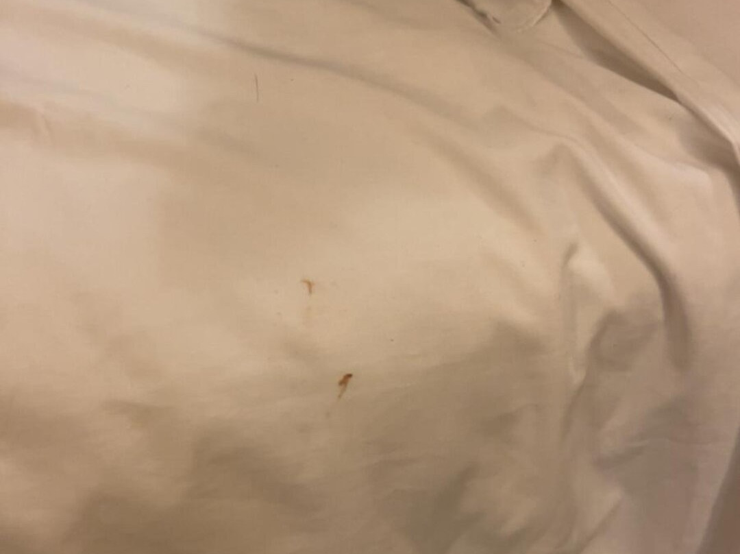 Campanile Breda Hotel主图