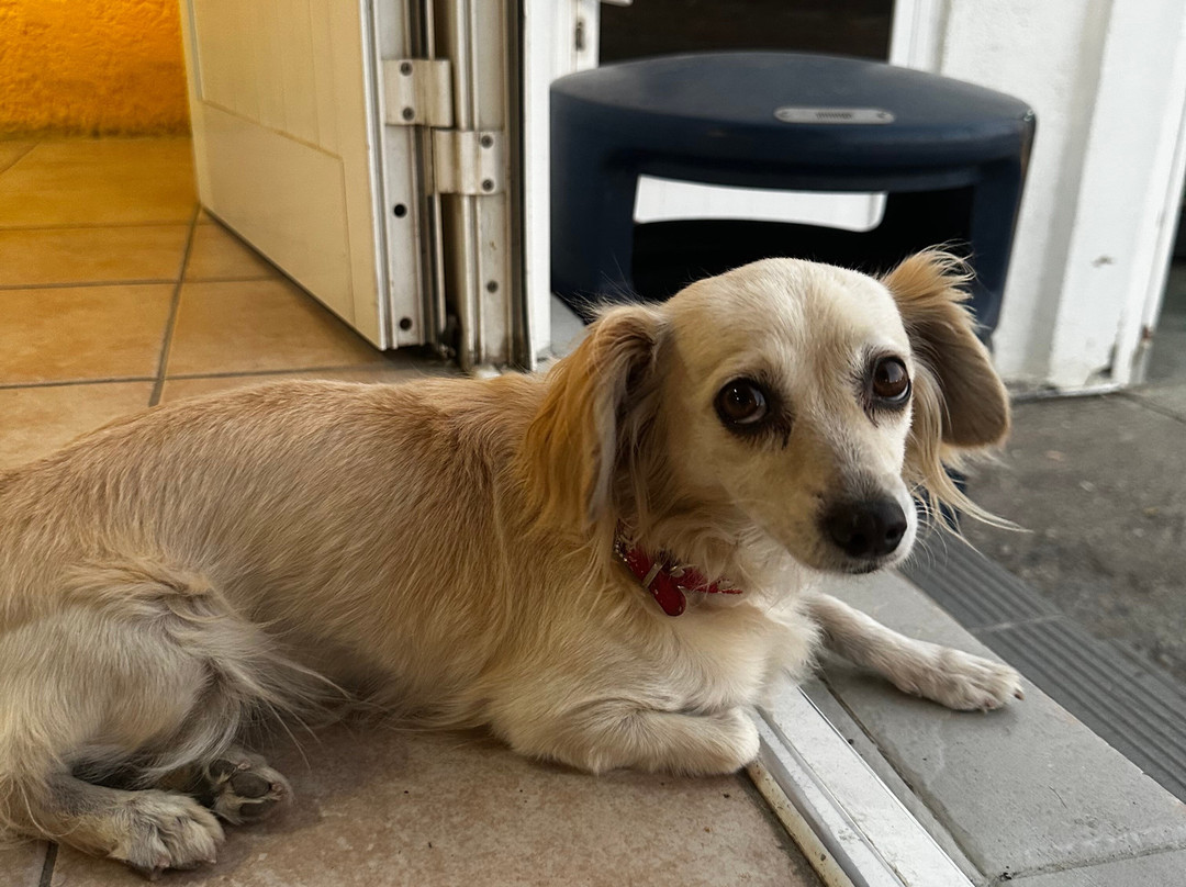 Lardos Go Karts-Lardos必去景点