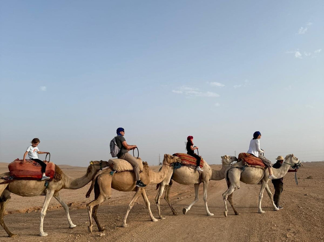 Iconic Morocco Tours-非斯必去景点