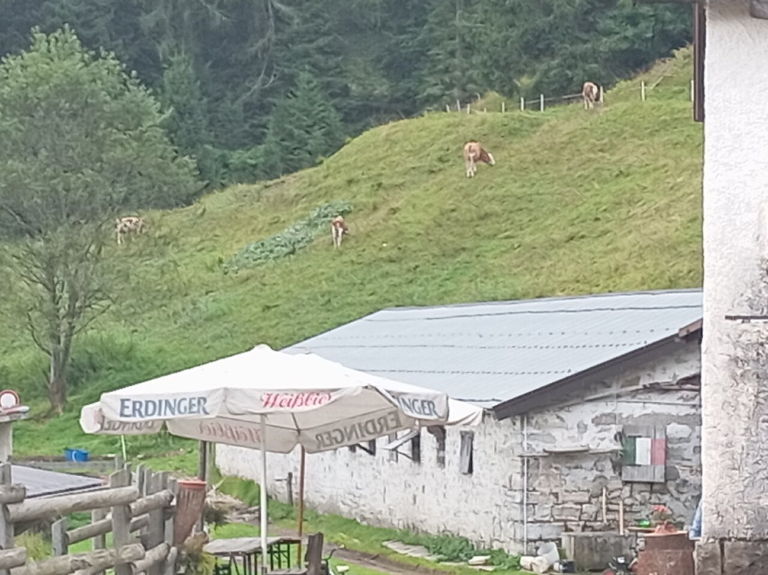 Conca di Cajada-Longarone必去景点