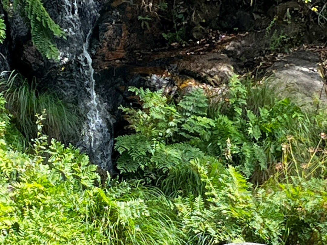 Cascata Tahiti-格里斯必去景点