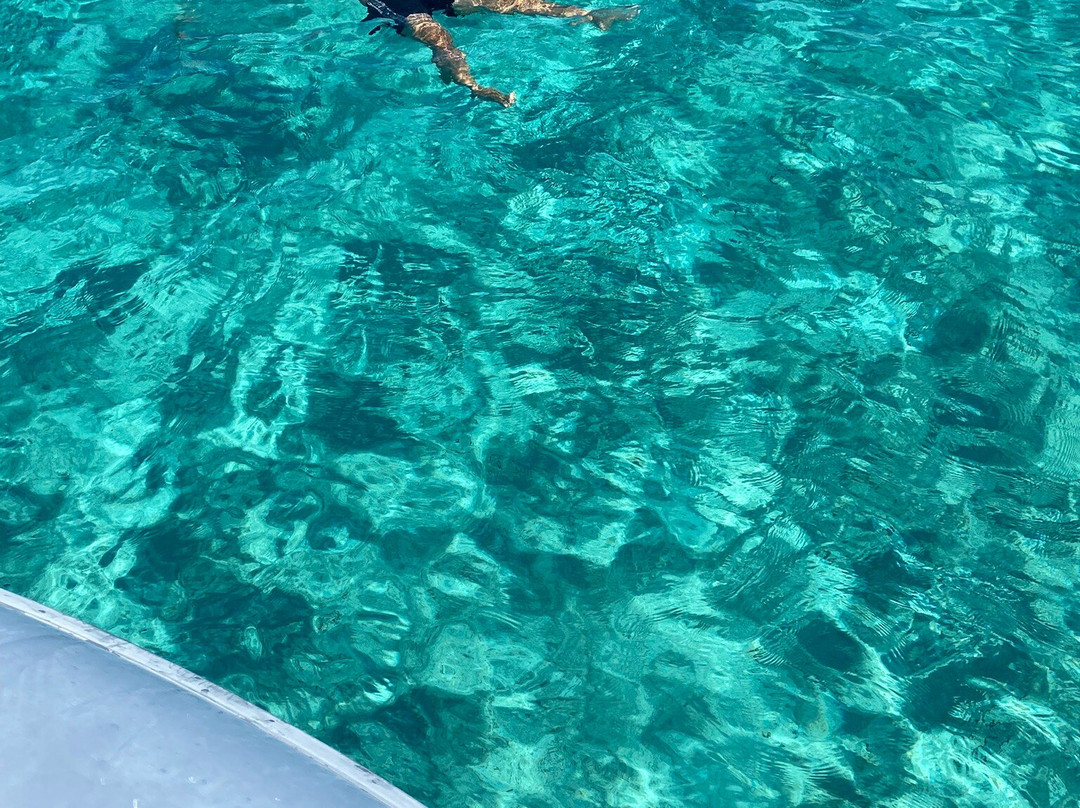 Stelle Marine Hotel & Resort主图