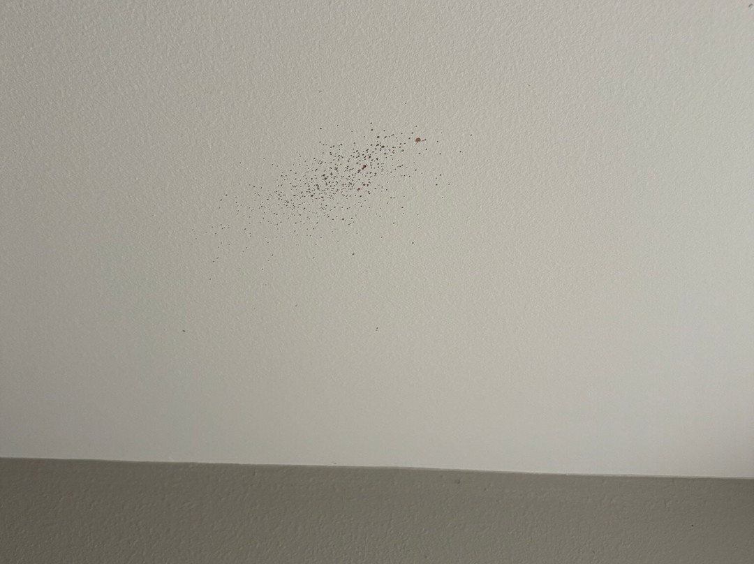 Red Roof Plus+ Henderson主图