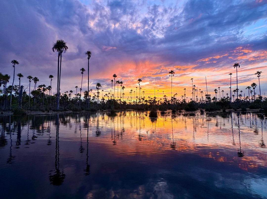 GREEN HOUSE TAMBOPATA-Filadelfia必去景点