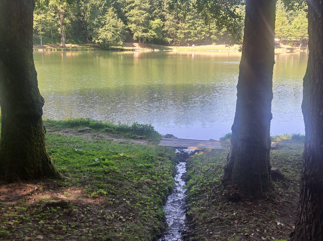 Lago Pontini-Bagno di Romagna必去景点