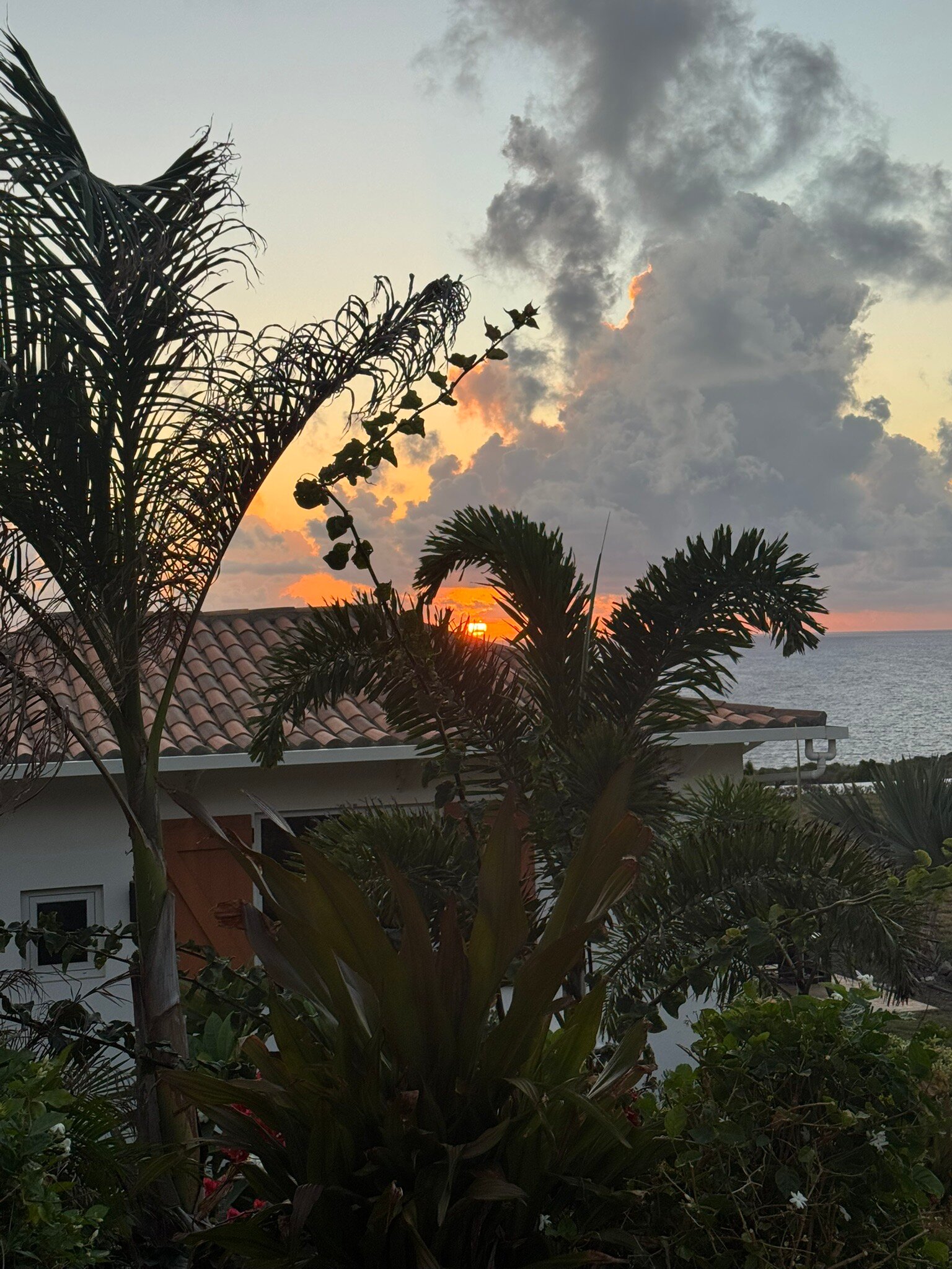 Golden Rock Dive And Nature Resort-官方
