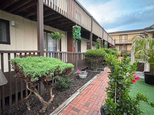 Kenny's Tipperary Inn主图