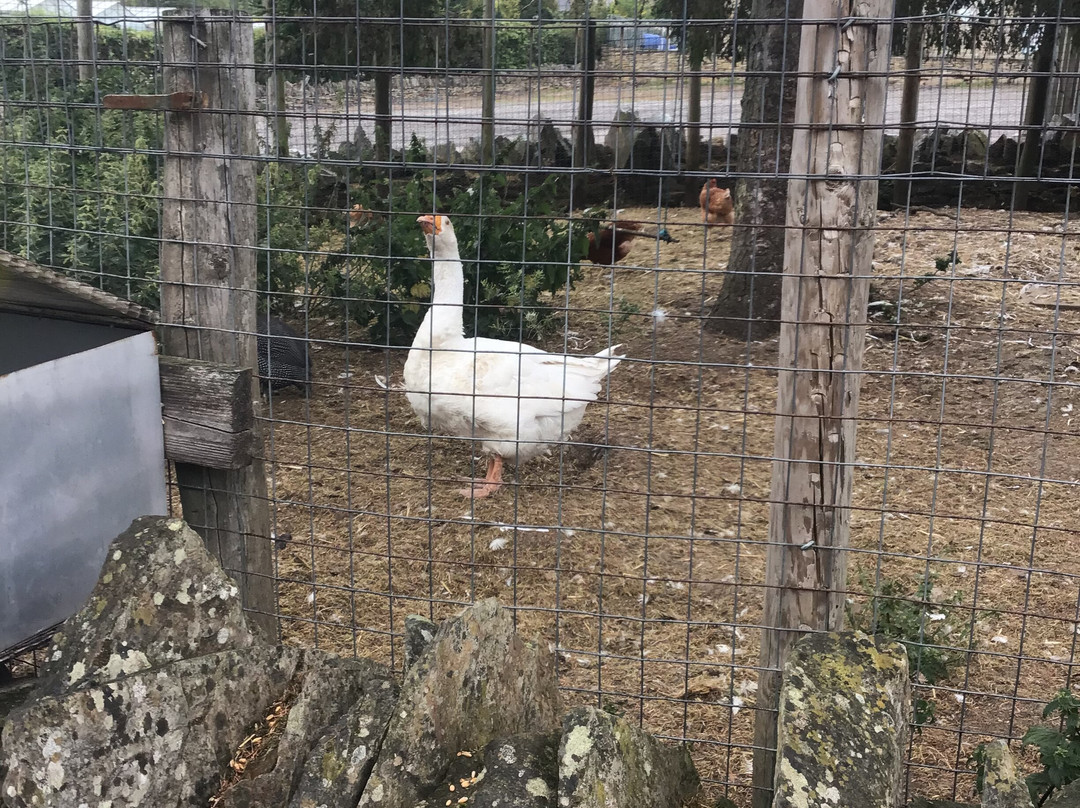 Pot House Hamlet-巴恩斯利必去景点