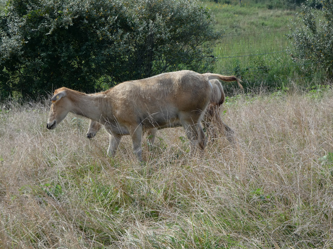 The Wilds-Cumberland必去景点