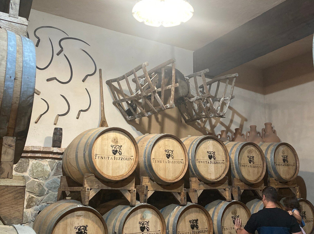 Tenuta Iuzzolini-Ciro Marina必去景点