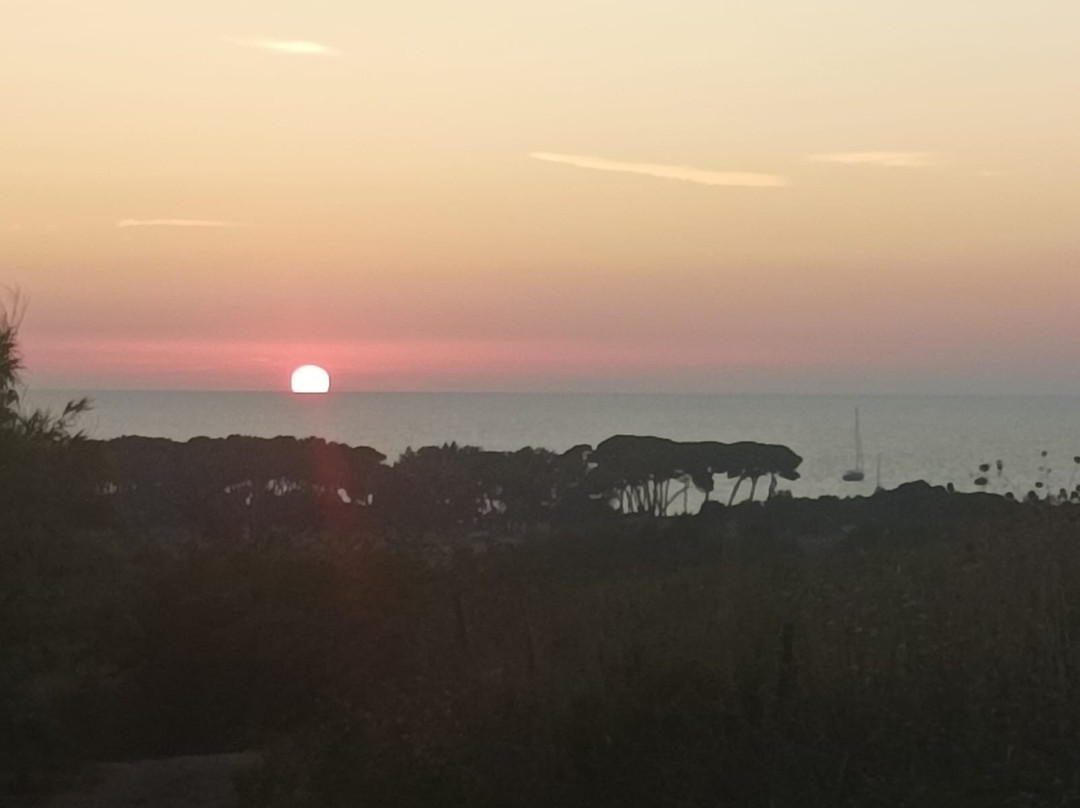 Agricampeggio La Piaggia