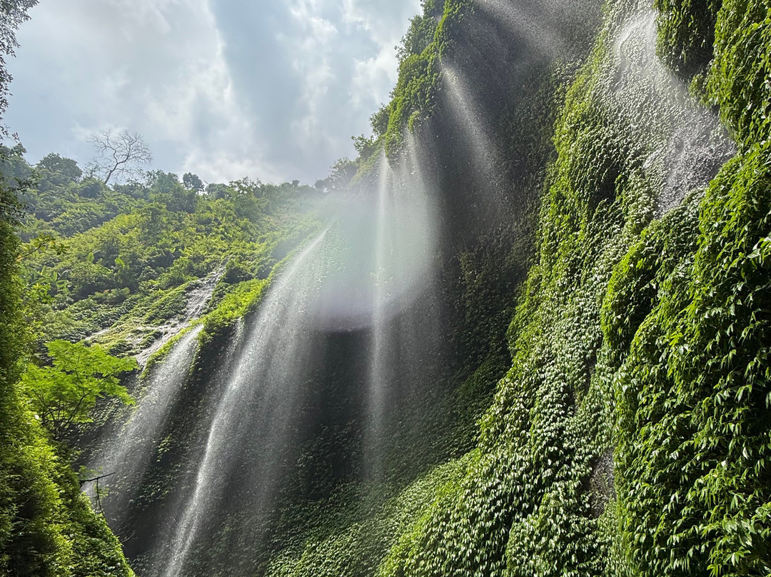 Tripperhood - Day Tour-婆罗摩腾格里国家公园必去景点