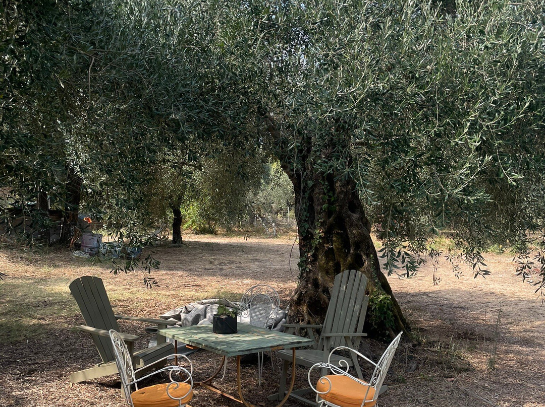 Dr. Kavvadia's Organic Farm-Tzavros必去景点