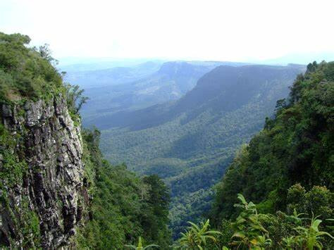African Safari Guru-开普敦中心区必去景点
