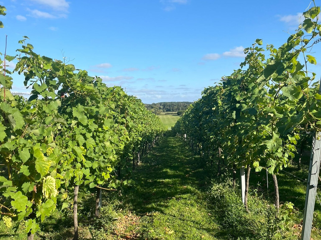Flint Vineyard-Bungay必去景点