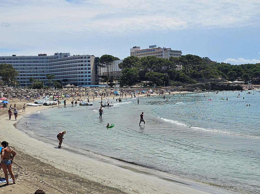 Playa Palmira-帕格拉必去景点