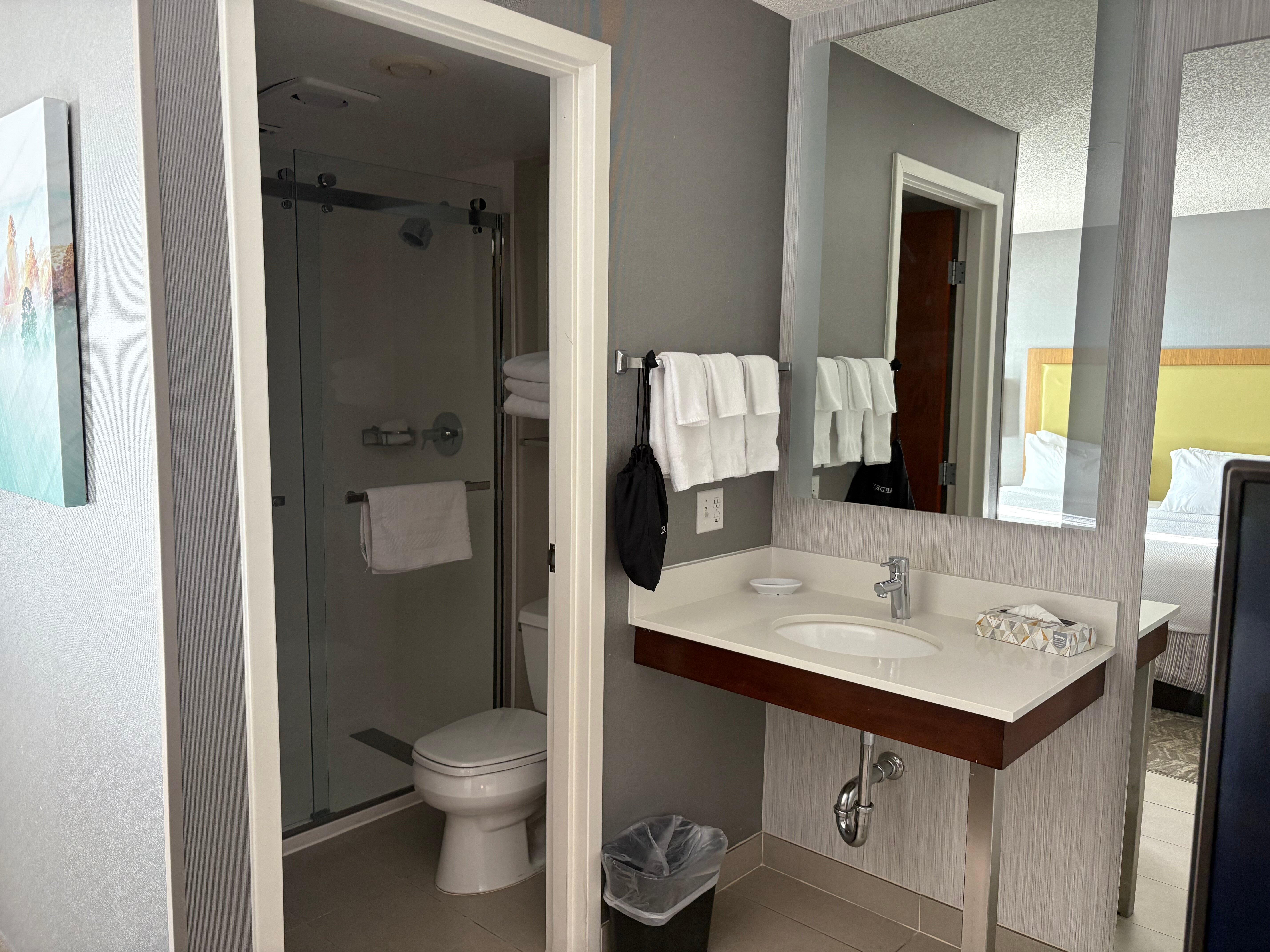 SpringHill Suites by Marriott Boise ParkCenter-浴室