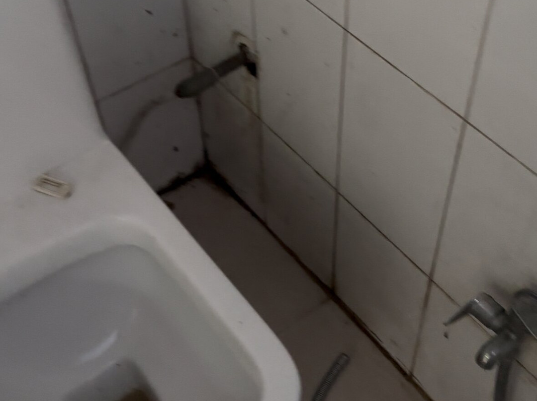 Corbett Museum-Kaladhungi必去景点