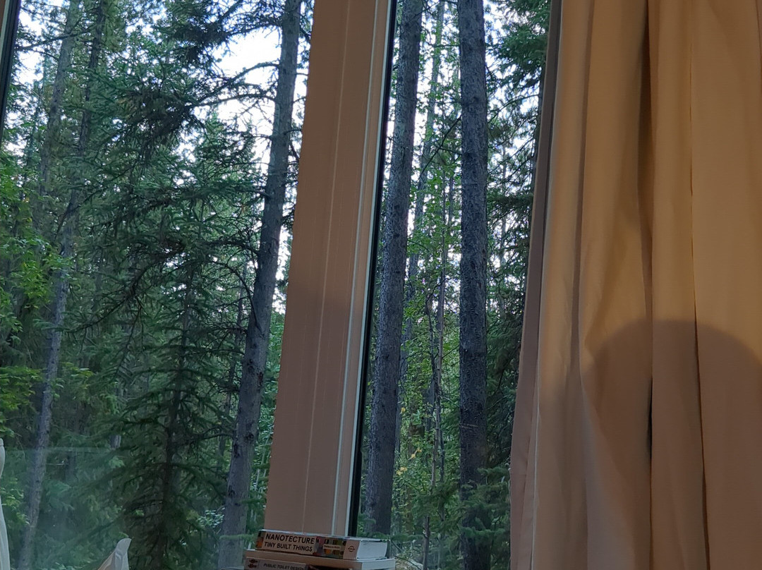 Yukon Black Spruce Landscape Hotel
