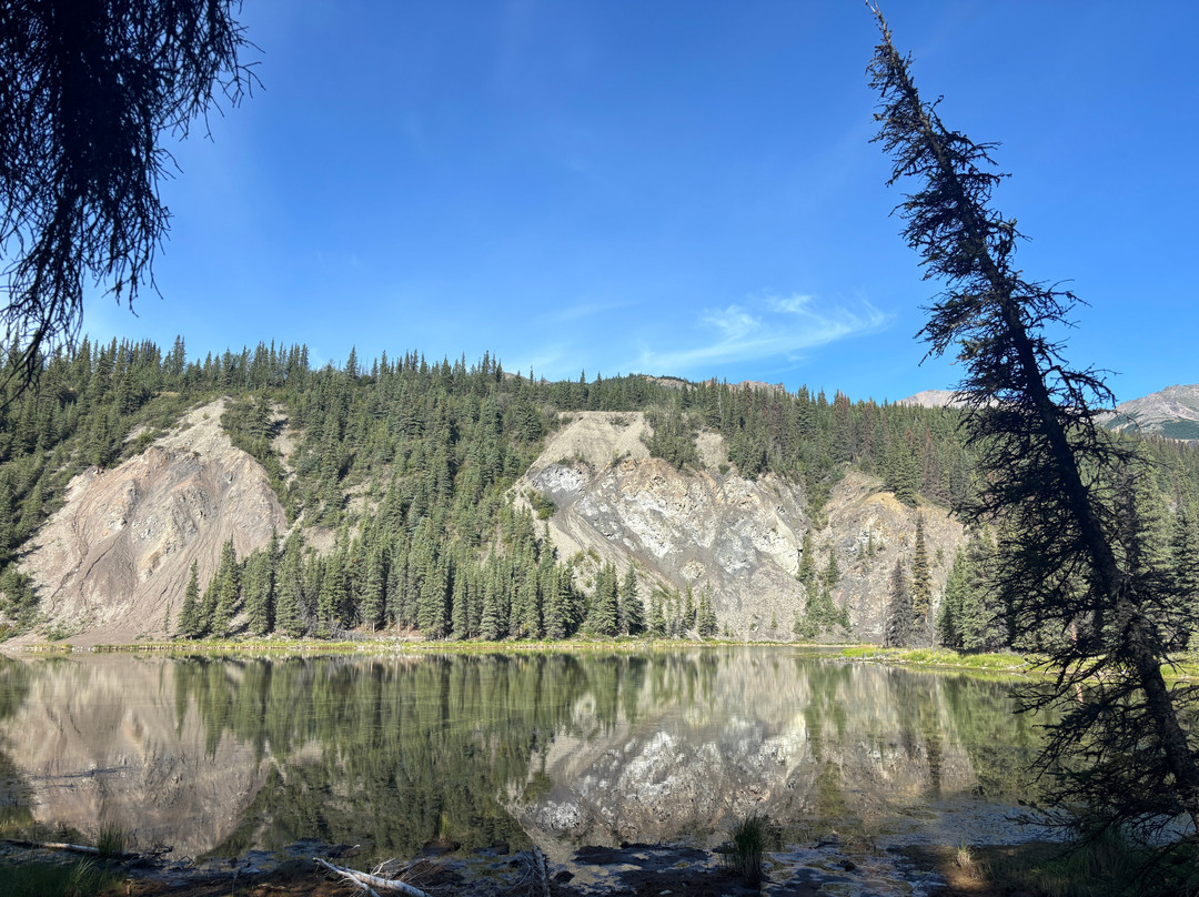 Horseshoe Lake Trail-德纳利国家公园和自然保护区必去景点