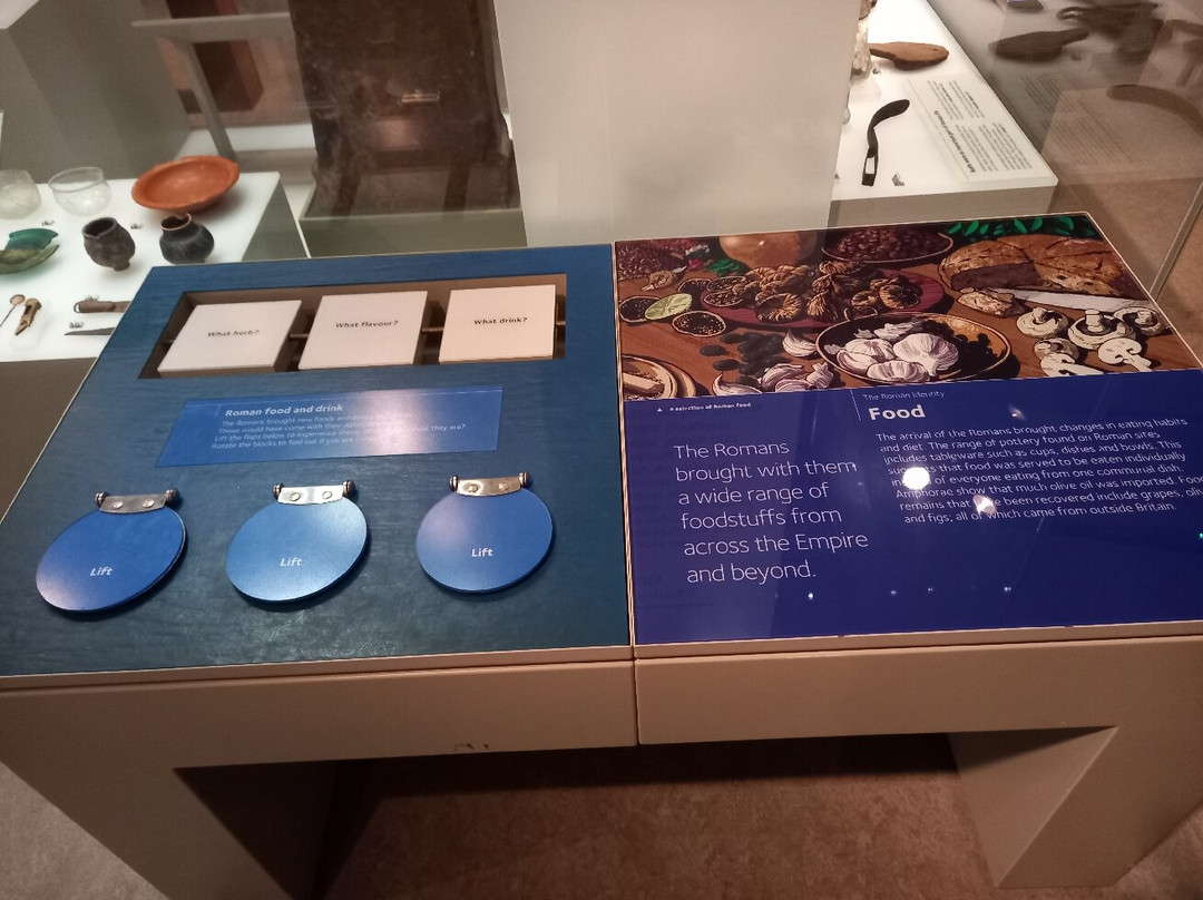 Tullie House Museum & Art Gallery-卡莱尔必去景点