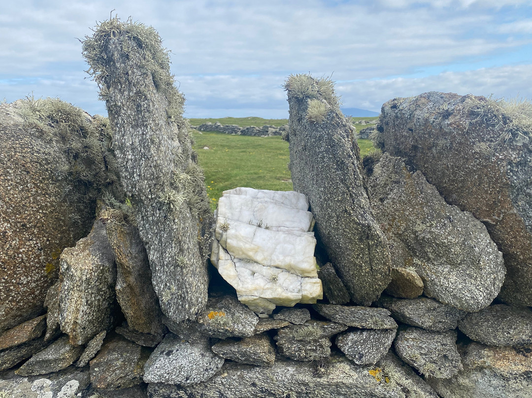 Blacksod Sea Safari-Belmullet必去景点