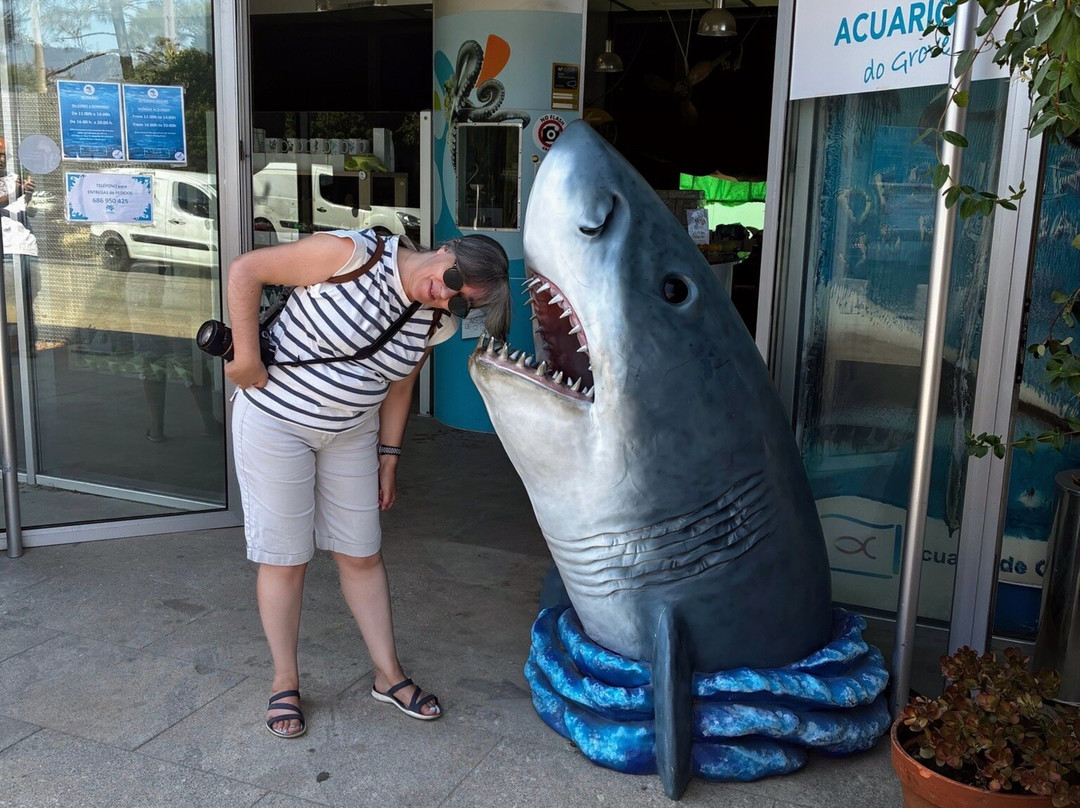 Acuario Do Grove-格罗韦必去景点