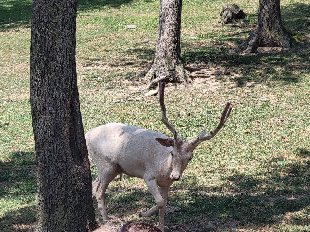 The Farm at Walnut Creek-Sugarcreek必去景点
