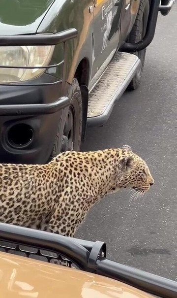 Ashridge Safaris & Guesthouse-雾观必去景点