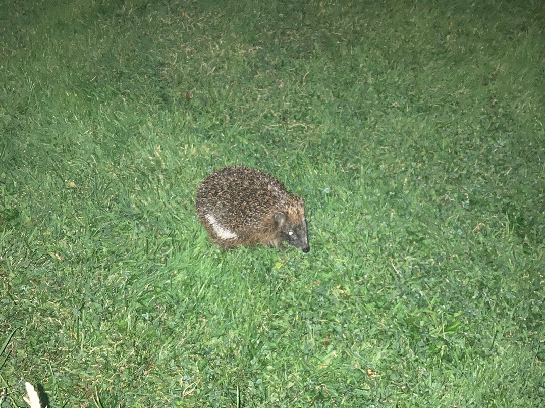 Bridge House - B&b Rooms & Huts On Hadrian's Wall主图