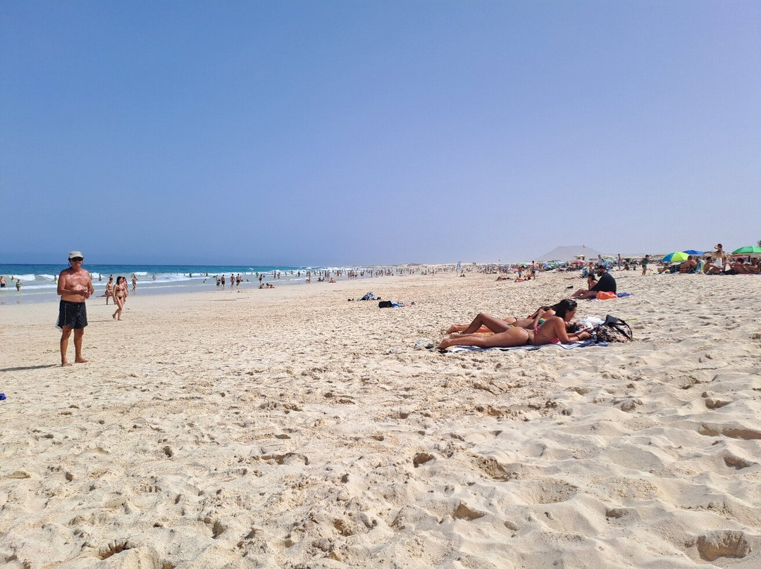 Dunas De Corrallejo-科拉雷侯必去景点