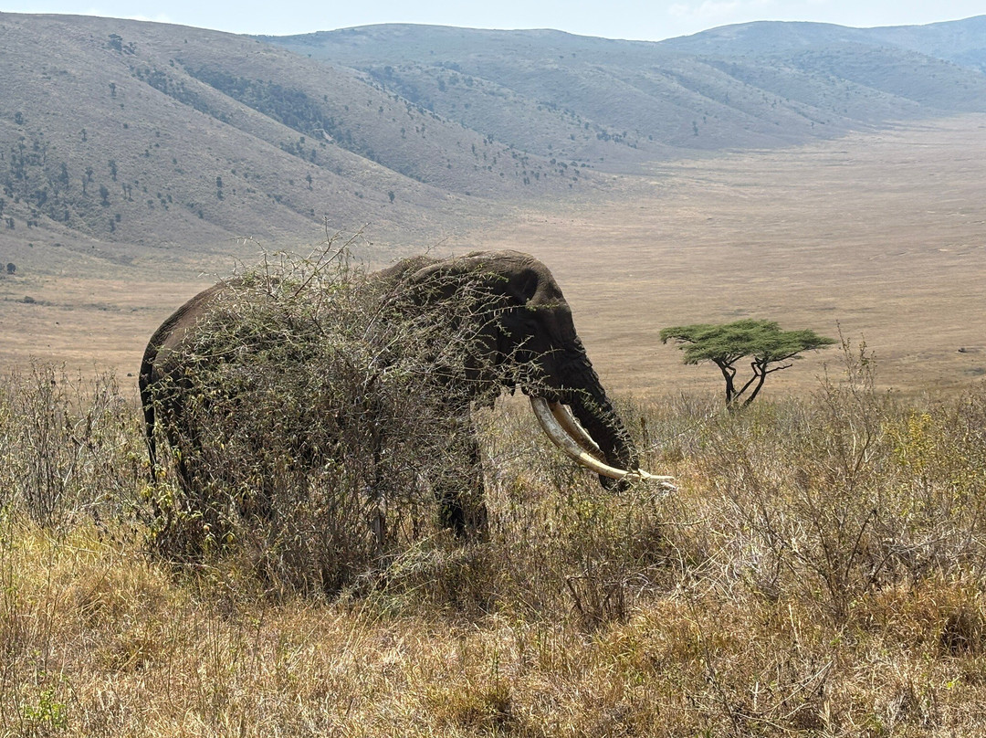 Wadudu Home & Adventure-莫西必去景点