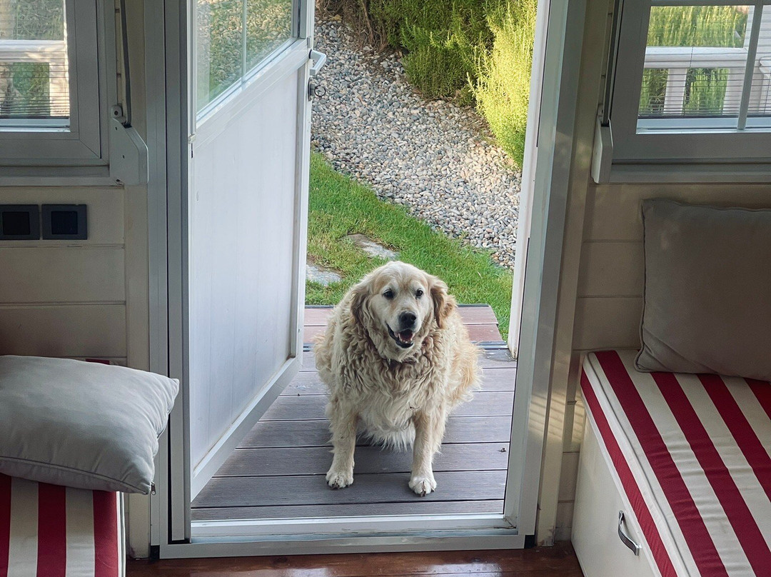 Urlachi Çiftliği主图