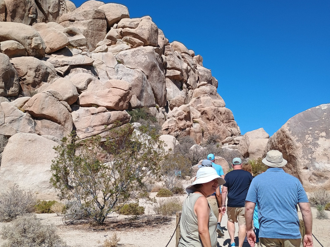 Adventure Hummer Tours and Events-棕榈沙漠必去景点