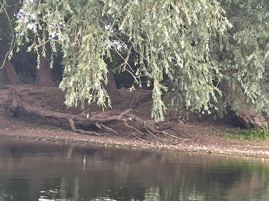 Kingfisher Cruises-瓦伊河畔罗斯必去景点