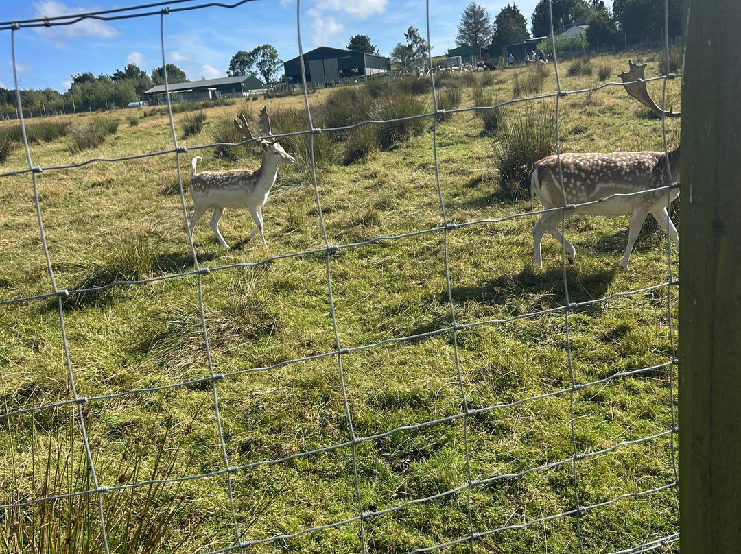 Wynford Farm Playbarn-Kingswells必去景点