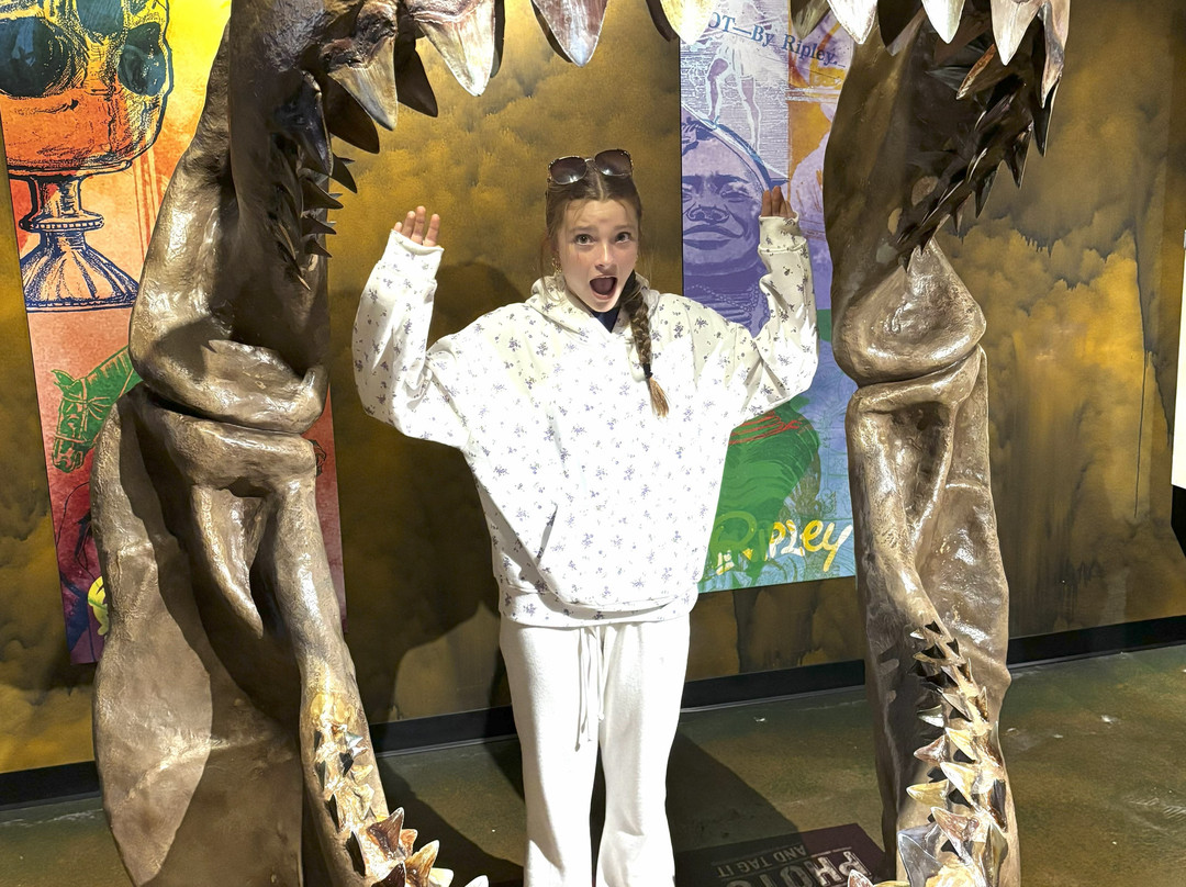 Ripley's Believe It or Not!-尼亚加拉大瀑布必去景点