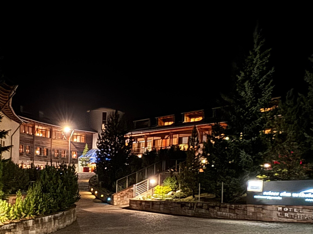 赛瑟阿尔姆尤塔勒酒店主图