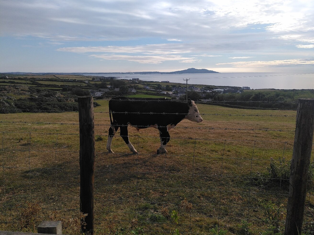Llain Ffynnon Campsite
